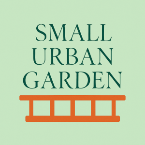 small urban garden green