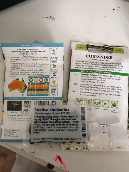 Plant care instructions balcony garden problems
