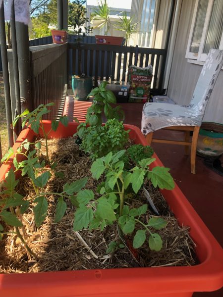 balcony garden layout